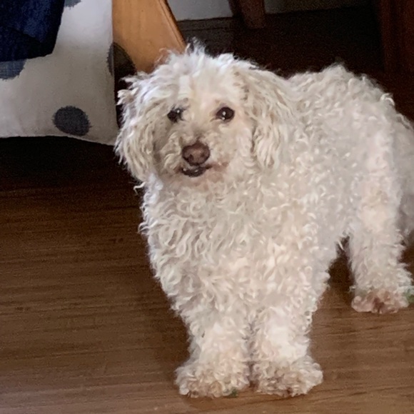 Meet your Posher, Krymylda - Picture 2 of 5